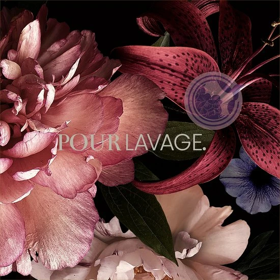 Beste deal π Lavayette Premium Wasparfum / Floating Fontaine / Lotusbloem / Geurbooster 500ml π 5 Beste deal π Lavayette Premium Wasparfum / Floating Fontaine / Lotusbloem / Geurbooster 500ml π - Afbeelding 5