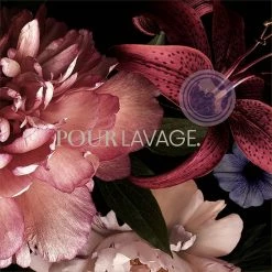 Coupon ⭐ Lavayette Premium Wasparfum / Jasmin Shades / Geurbooster 500ml (Diamante) ✨ -Dyson-winkel 550x550 57