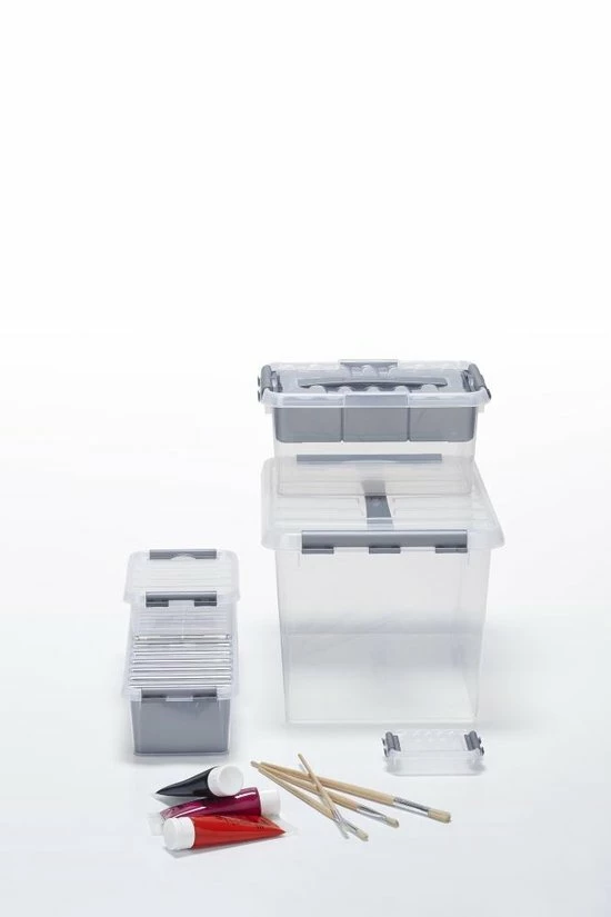 Beste Verkoop π Sunware - Q-line Opbergbox Met Inzet 6L Transparant Metaal - 30,7 X 20 X 14,3 Cm π― 4 Beste Verkoop π Sunware - Q-line Opbergbox Met Inzet 6L Transparant Metaal - 30,7 X 20 X 14,3 Cm π― - Afbeelding 4